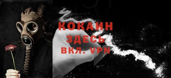 ГАЛЛЮЦИНОГЕННЫЕ ГРИБЫ Богданович