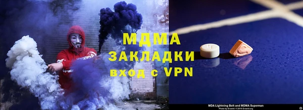 ГАЛЛЮЦИНОГЕННЫЕ ГРИБЫ Богданович
