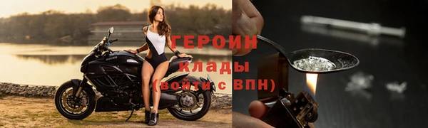 ГАЛЛЮЦИНОГЕННЫЕ ГРИБЫ Богданович