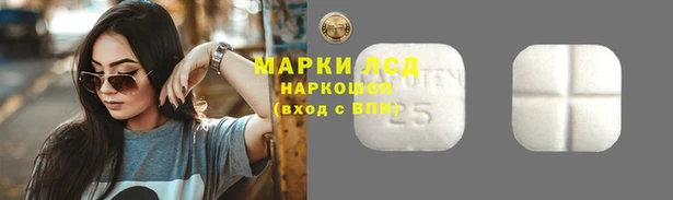 ГАЛЛЮЦИНОГЕННЫЕ ГРИБЫ Богданович