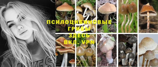ГАЛЛЮЦИНОГЕННЫЕ ГРИБЫ Богданович