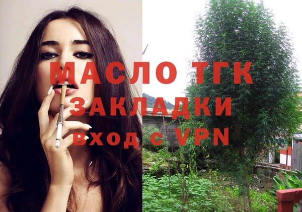 амф Богородицк