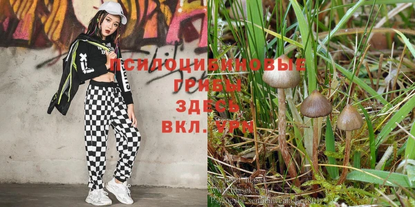 бутират Богородск