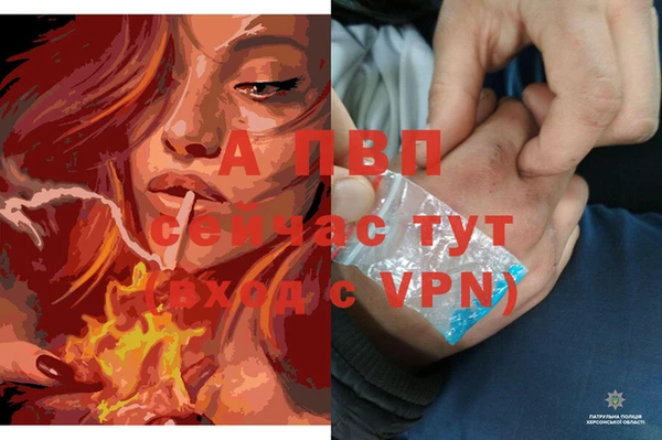 амф Богородицк