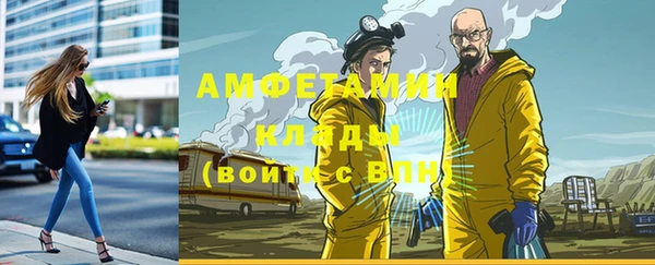 ГАЛЛЮЦИНОГЕННЫЕ ГРИБЫ Богданович