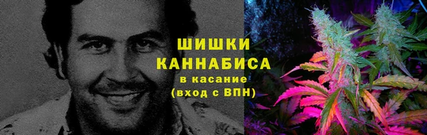 ГАЛЛЮЦИНОГЕННЫЕ ГРИБЫ Богданович