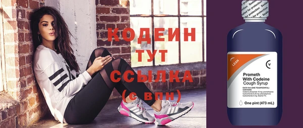 ГАЛЛЮЦИНОГЕННЫЕ ГРИБЫ Богданович
