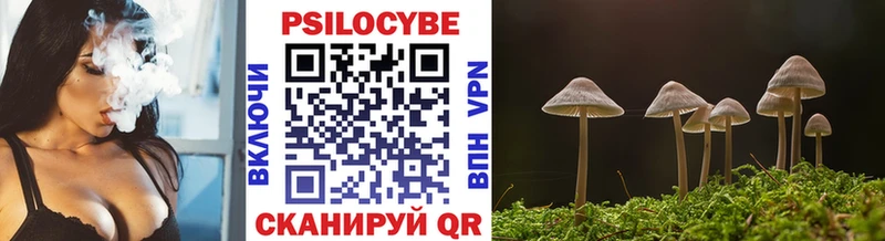 Галлюциногенные грибы MAGIC MUSHROOMS  мориарти как зайти  Добрянка 